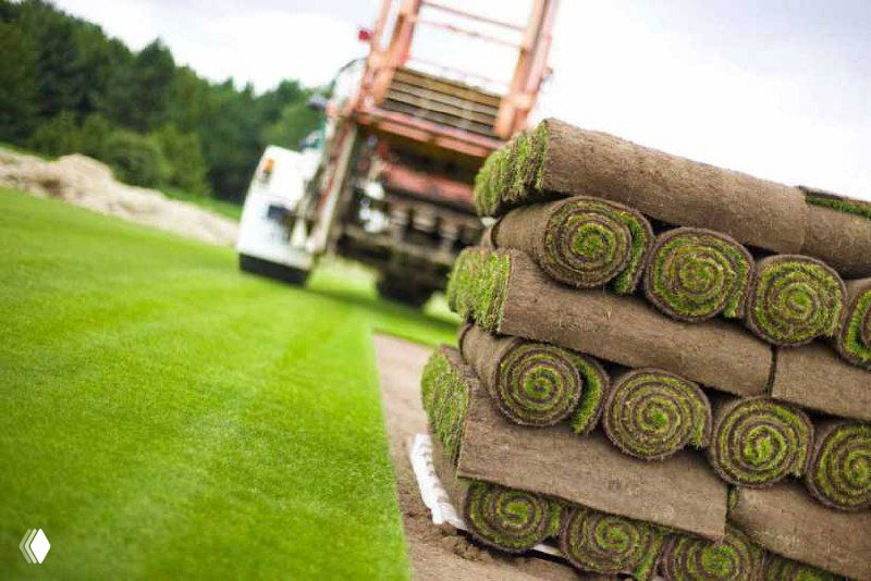 Рулонный газон по спеццене — 683 руб/м²