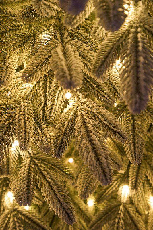 Крупный план заснеженных ветвей Самарской ёлочки с тёплой подсветкой, эффект натурального снега и пушистая структура веток.