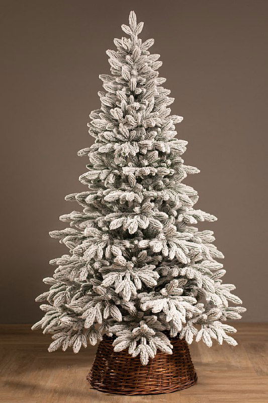 Донская заснеженная — волшебная ёлка