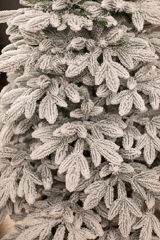 Детальный вид нижней части и ветвей заснеженной ёлки, акцент на плотности хвои и равномерном снежном покрытии без украшений.