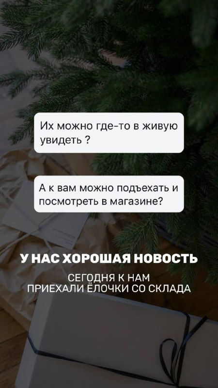 Приехали ёлочки: Лесная Симфония, Тверская, Изящная