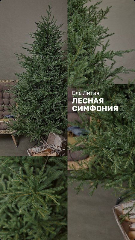 Две собранные искусственные ёлки модели «Лесная Симфония» на фоне магазина; видны лапы, форма кроны и упаковочные коробки рядом.