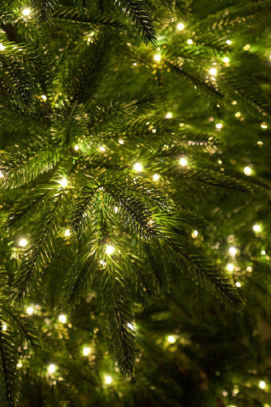Крупный план хвои и встроенных огоньков гирлянды «Капля росы» на ёлке «Пальмира»: плотное плетение проводов и множество тёплых лампочек.