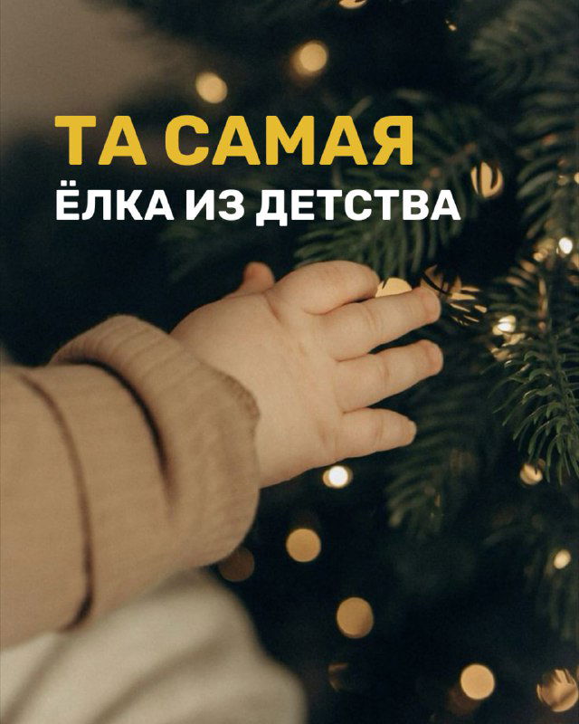 Та самая ёлка из детства