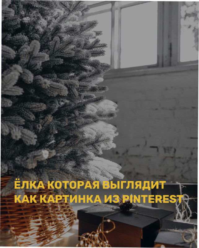 ✨ Самые инстаграмные ёлки