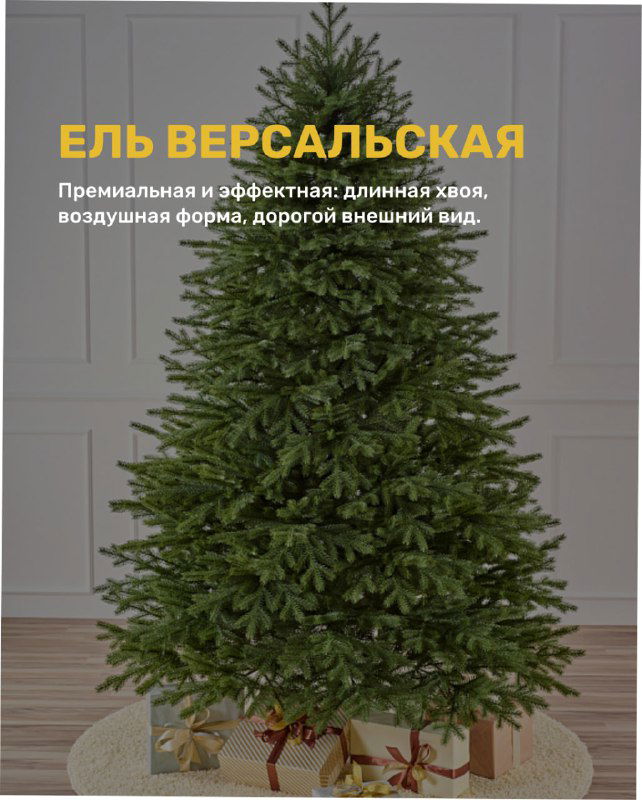 Модель «Версальская»: высокая пышная ель с воздушной формой на светлом интерьере, демонстрирует эффект «дорогого» внешнего вида на фото.