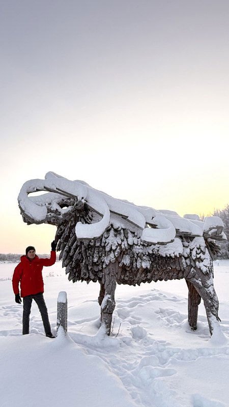 Крупная деревянная фигура оленя работы Алены Вальковой на снегу; человек в красной куртке рядом показывает масштаб, вокруг северный пейзаж.