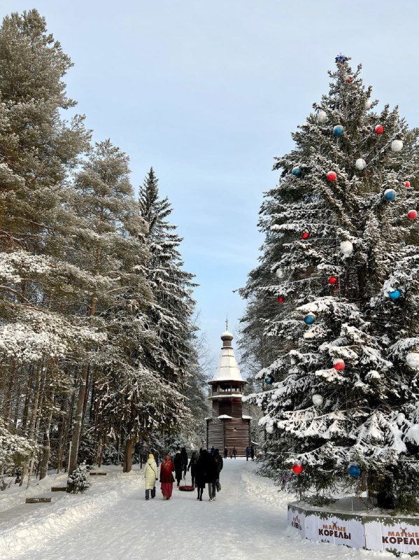 Прогулочная аллея в заснеженном лесу с посетителями, видна украшенная ёлка и деревянная церковь на территории музея под открытым небом