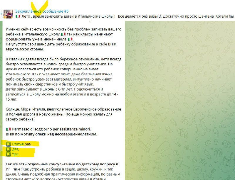 ВНЖ по мотиву опеки над несовершеннолетним