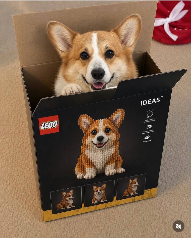 Крупный план корги в коробке LEGO Ideas: выражение мордочки в центре, пиксельная иллюстрация щенка на фронтальной панели коробки.