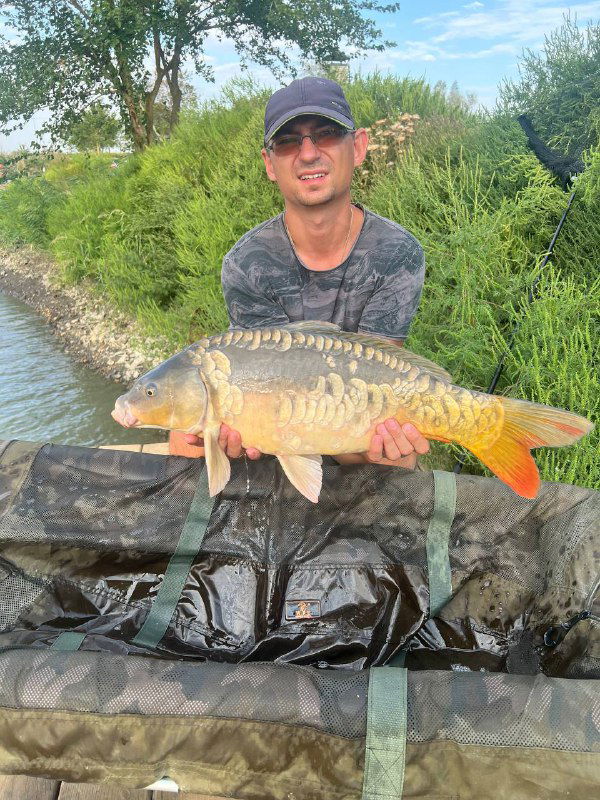 Рыбак улыбается, держa в руках зеркального карпа над матом; позади виден берег с кустарником и спокойная поверхность пруда.