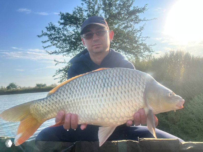 Рыбак держит большого карпа горизонтально, позируя на фоне пруда; солнечное освещение подчёркивает габариты трофея и прибрежную растительность.