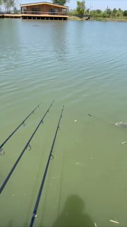 Вид с причала на три спиннинга, выставленных над водой пруда; в кадре видна гладь воды, плавающие листья и противоположный берег.