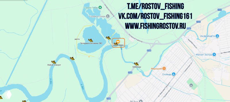 Платная рыбалка БЕЛОЕ ОЗЕРО — Обильненское сп.