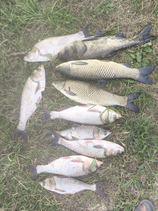 КРАСНЫЙ КРЫМ — отчёт 05.06