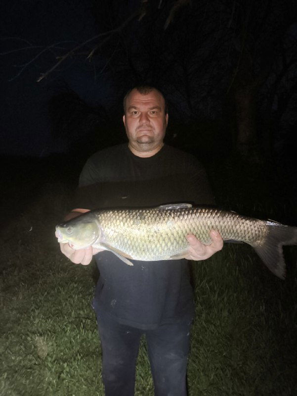 Мужчина держит большим усилием крупного толстолоба в руках ночью; тёмный фон и отражение на теле рыбы подчёркивают её массу и длину.