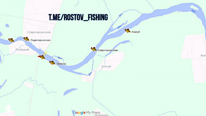 Рыбалка Алитуб, Дон