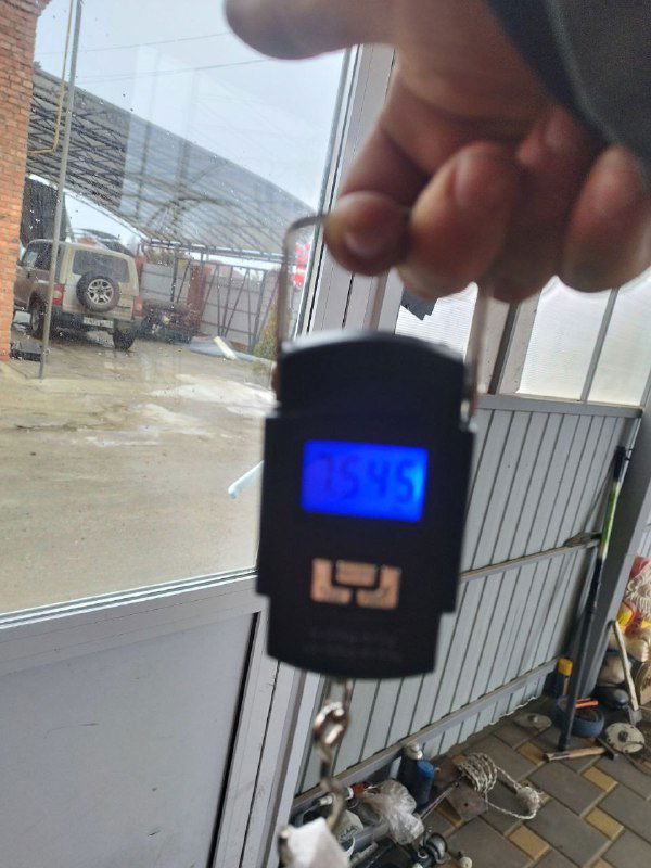 Рука держит цифровые весы с подсветкой; на дисплее видны цифры, на заднем плане подпорки и часть улова — проверка веса рыбы после ловли.