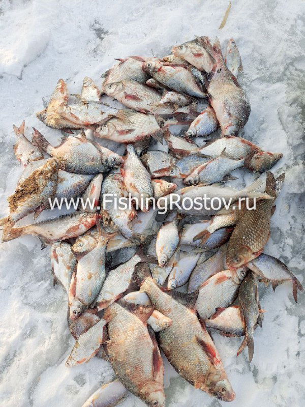 11.02 Рыбалка Маныч, Водосброс