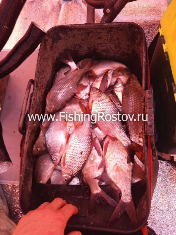 09.02 Рыбалка Маныч, выход с Грековой