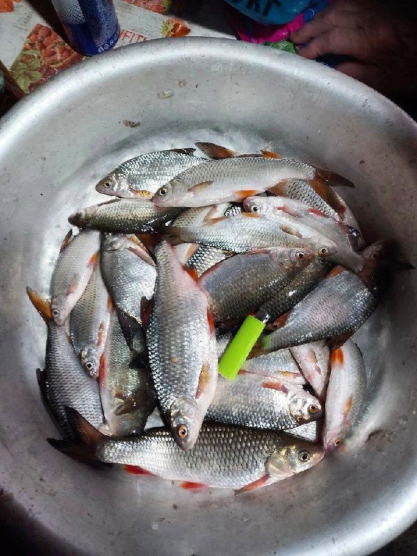 14.02 Мелиховская котлован