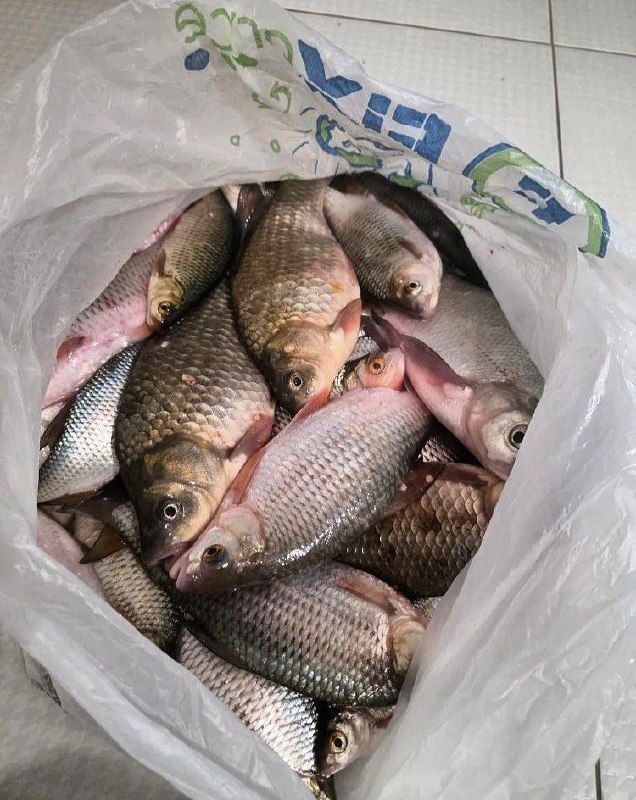 14.02 Рыбалка Маныч, Степной Курган