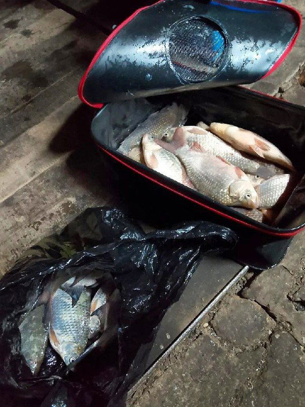 14.02 Рыбалка Маныч, Электроаппарат