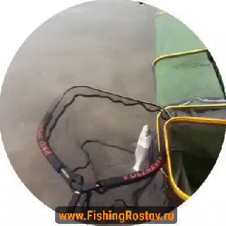 Подсак и рыболовные сумки на берегу, мокрый берег и инвентарь рыбака в кадре; близкий план оборудования для вываживания.