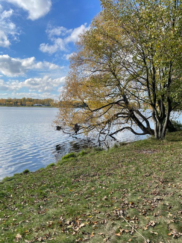 Про кол-во встреч у сейлза и life time balance