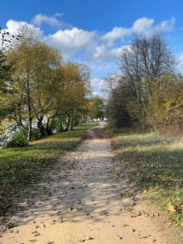 Тропинка вдоль озера среди осенних деревьев и опавшей листвы, ясное небо — кадр прогулки, сопровождавшей размышления об отдыхе от встреч.