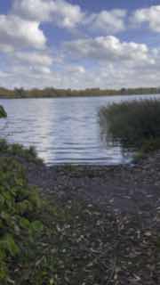 Ещё один вид на берег озера с каменистой кромкой и тростником, спокойная вода и облачное небо — сцена прогулки и аудиокниги для отдыха от работы.