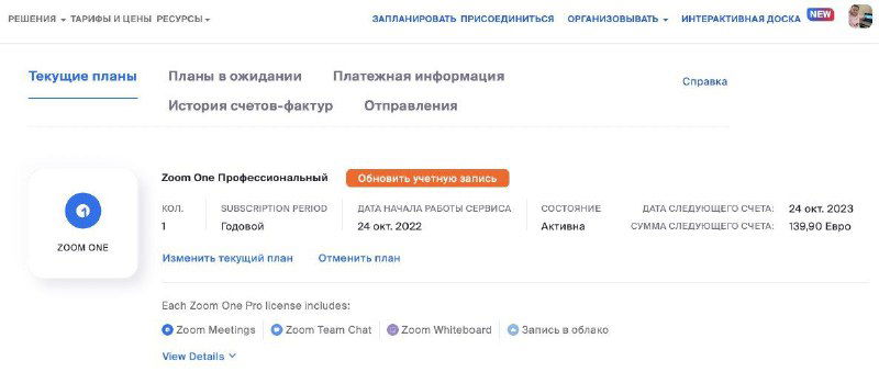 Платный Зум