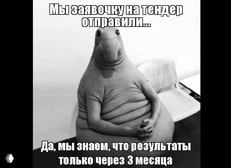 B2G как иной мир продаж