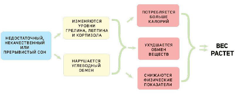 Сон — аппетит — гормоны