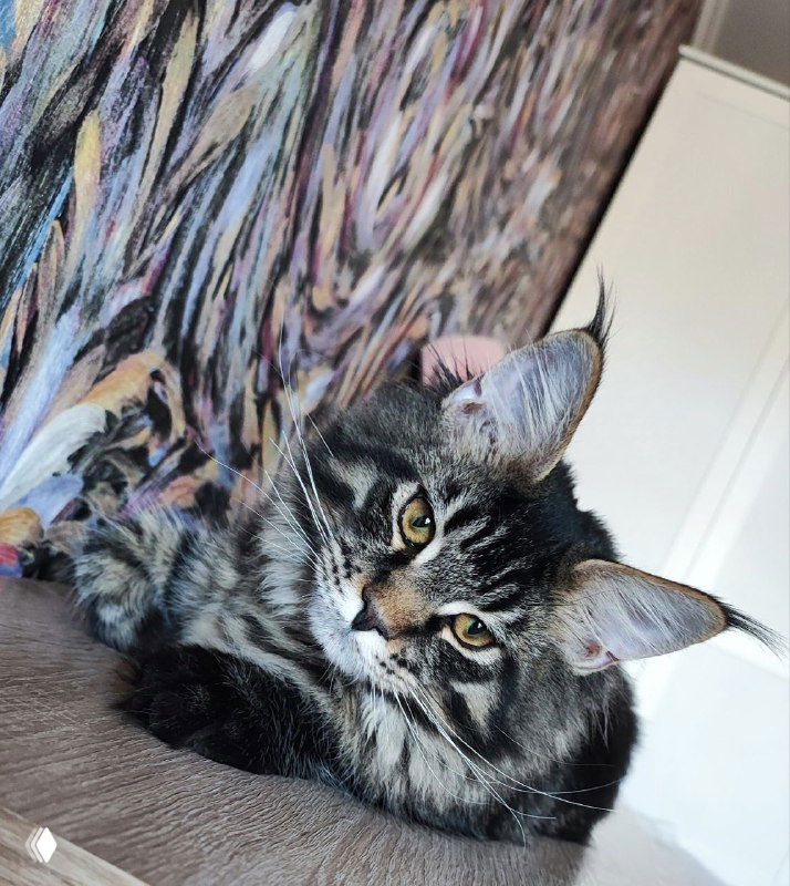 Ну почему он меня заблокировал?