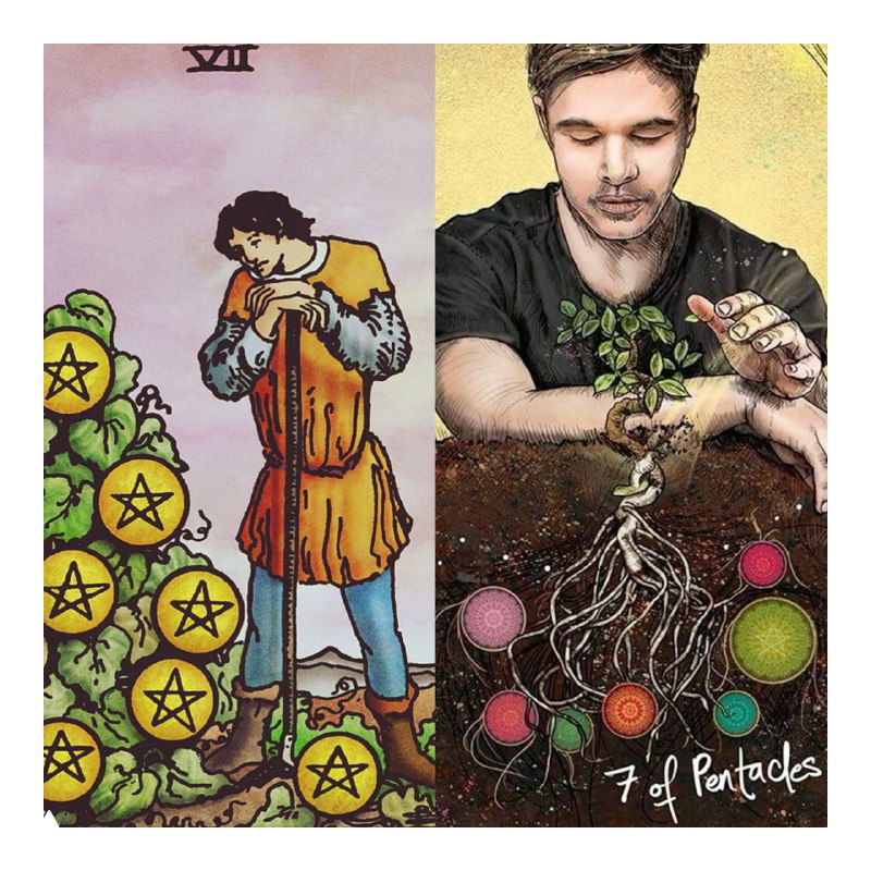 Семёрка Пентаклей — заслуженные плоды