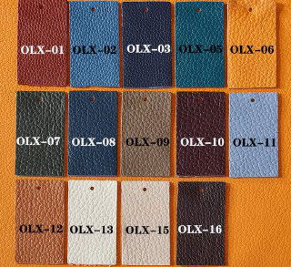 Панель с образцами цветовых вариантов кожи для выбора: прямоугольные пробники с маркировкой, показывающие доступные оттенки и зернистость материала.