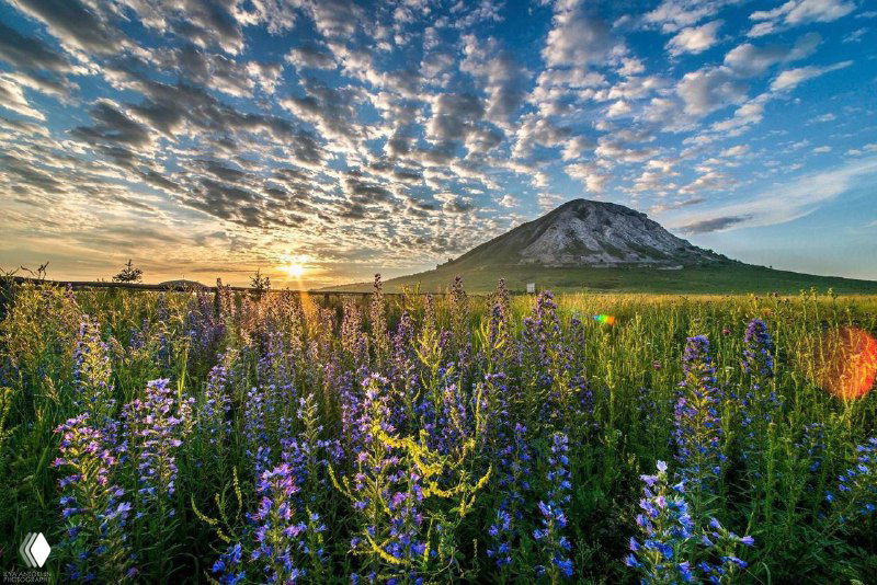 В Башкирии упростят выдачу бесплатных земель льготникам