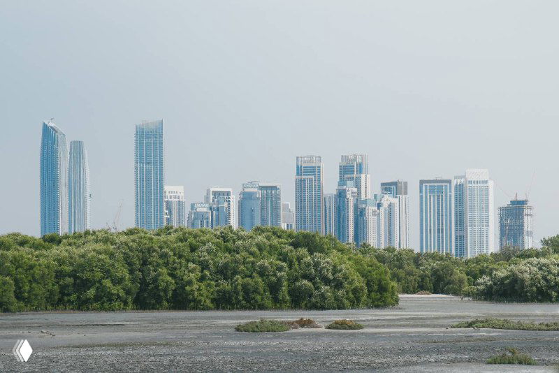 Новости из Дубая: контракт на 1,4 млрд дирхамов