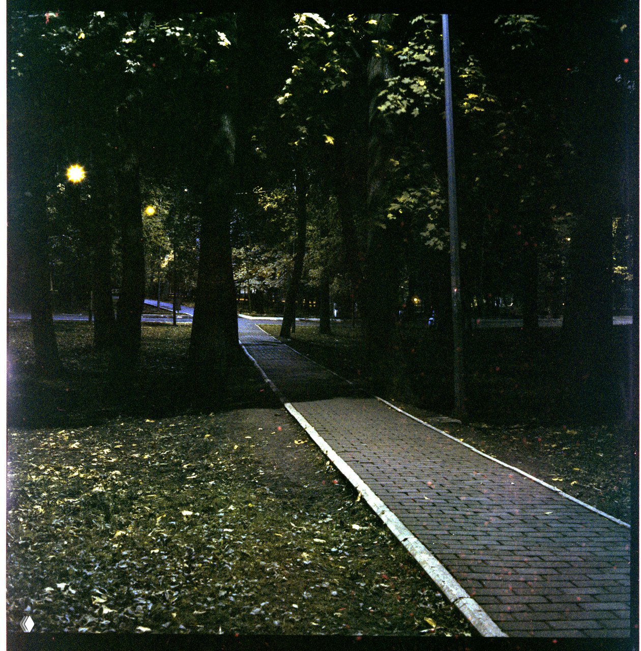 Harman Phoenix II: ночная съёмка и проявка в C-41