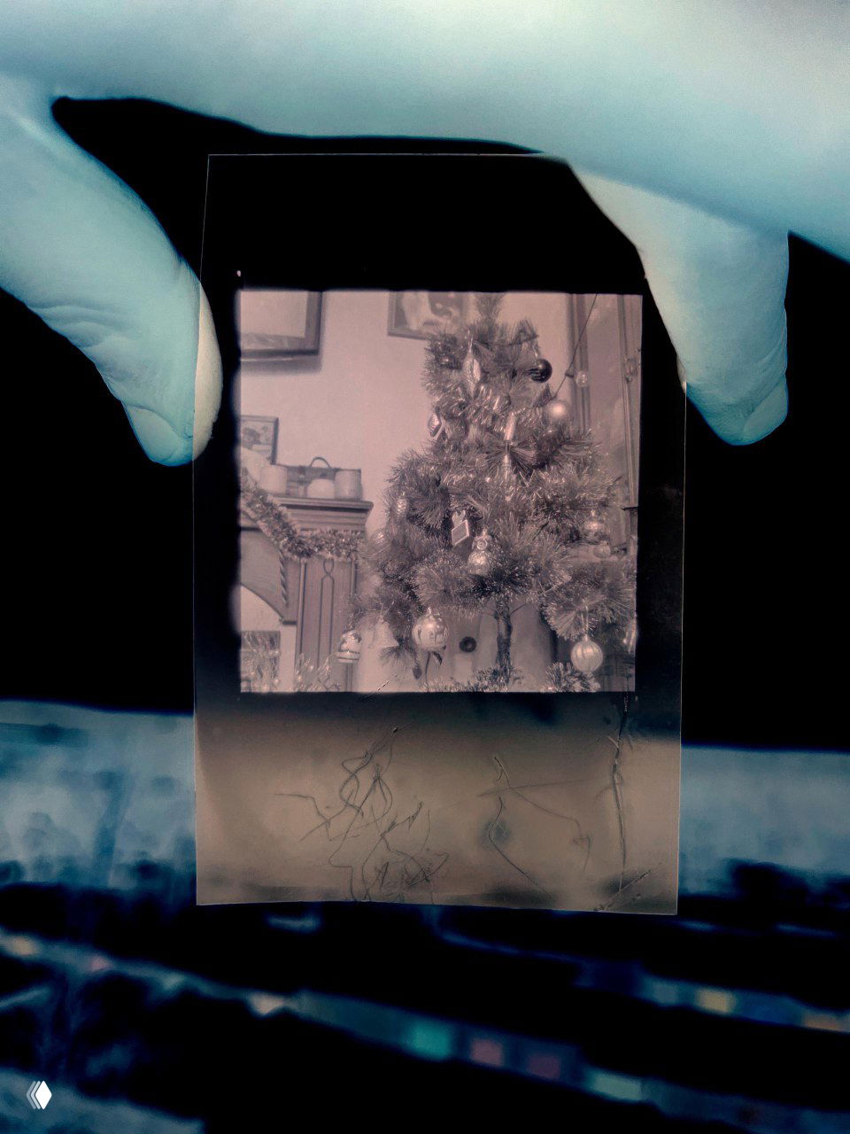 Цветовая инверсия проявленной рентгеновской плёнки SFM: крупный план кадра с ёлкой, видны дефекты, царапины и край пленки, пальцы держат образец.