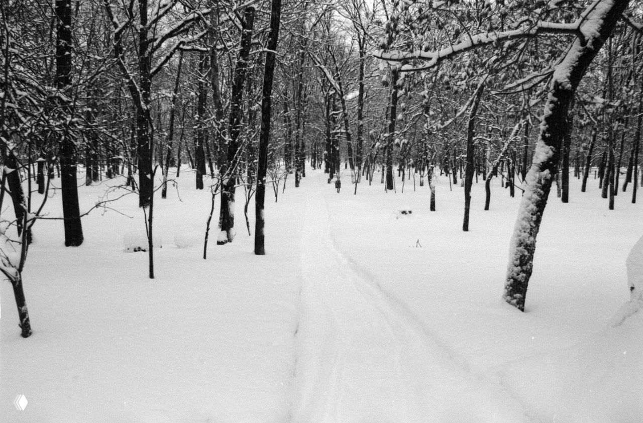 Foma PAN 200 @ EI 200 — Canon Kiss, Microphen