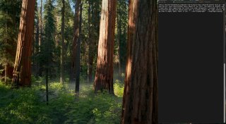 Панорамный кадр леса с высокими стволами деревьев; справа затемнённая вертикальная панель с текстом/кодом — стилизованная заставка демонстрации интерфейсной модели.