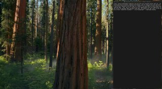 Крупный план лесного пейзажа с толстым стволом на переднем плане и затемнённой панелью интерфейса справа — фрейм из демонстрационного видео модели.