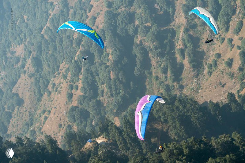 Несколько разноцветных крыльев над заросшими склонами; массовый полёт в предгорьях Гималаев, видны леса и уступы.
