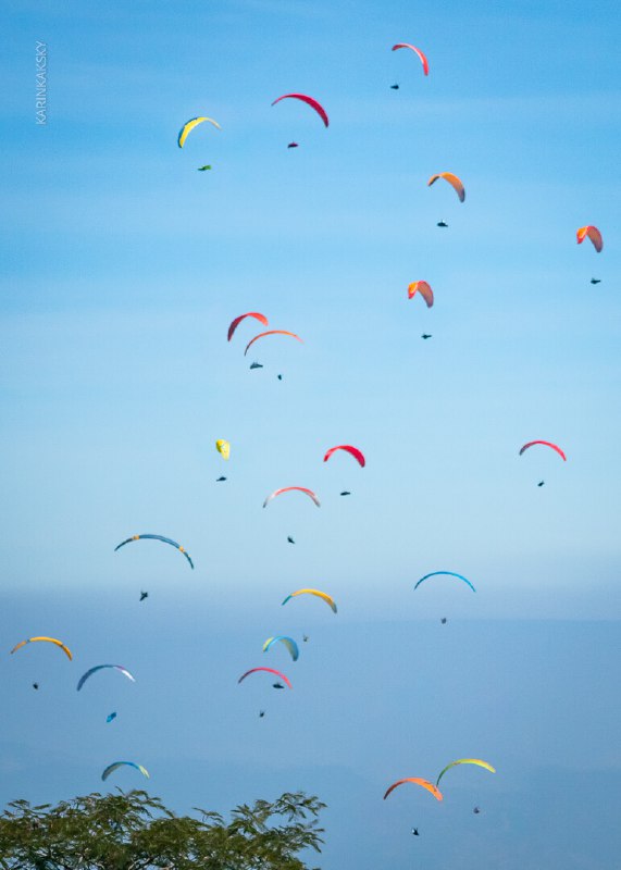 Множество разноцветных парапланов в небе над горизонтом — массовый полёт или соревнование, демонстрация разнообразия оборудования.