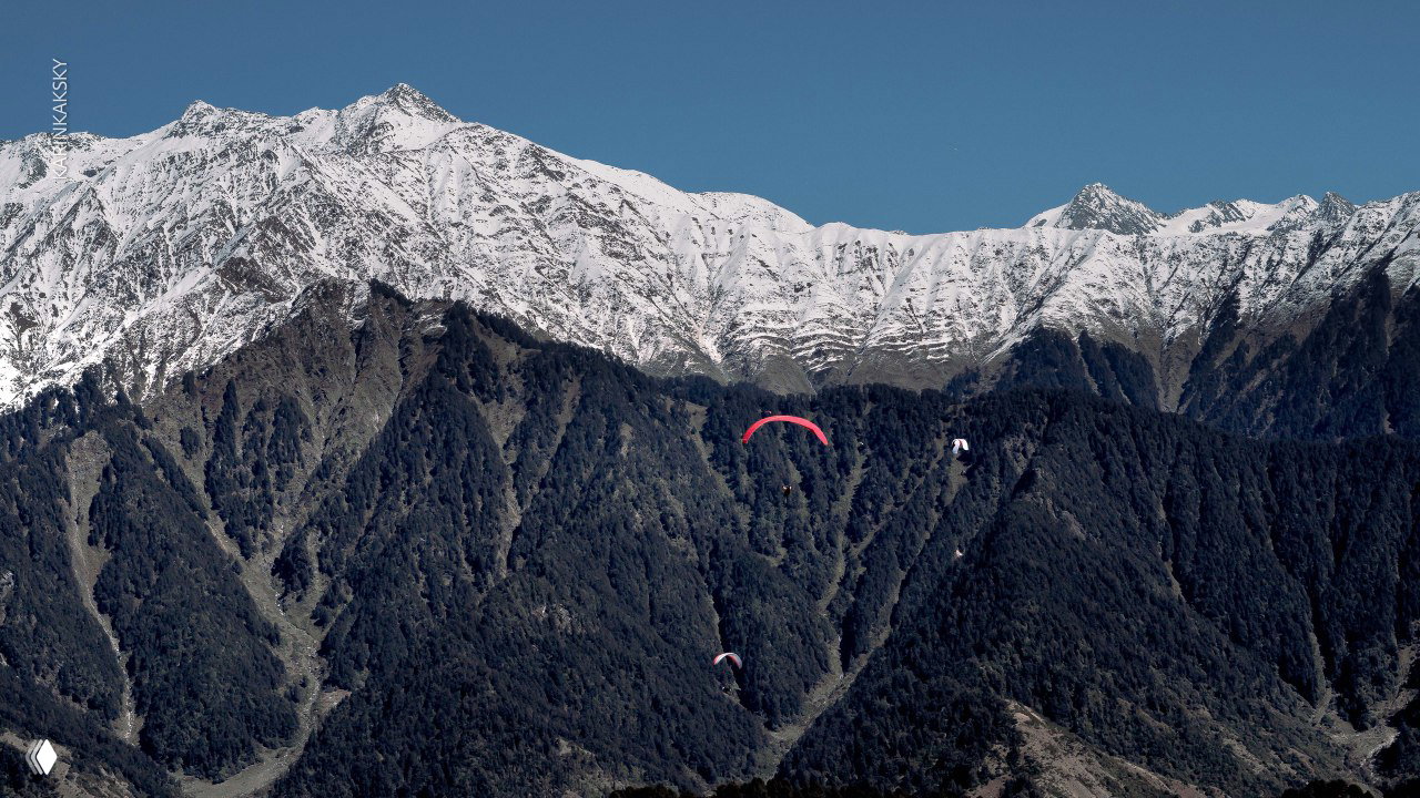 Пилоты словно разноцветные бабочки