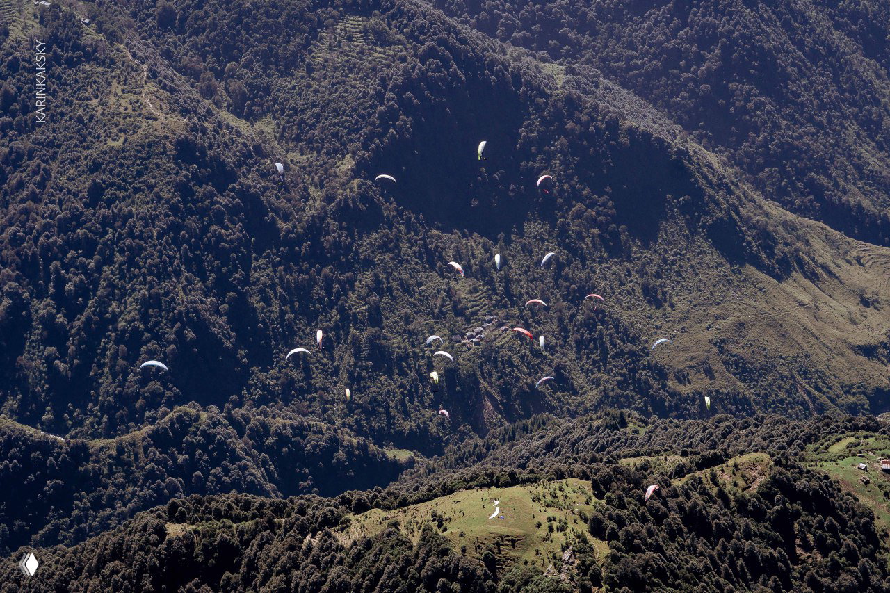 Скопление разноцветных крыльев парапланов над лесистым склоном; несколько пилотов в воздухе создают плотную композицию в горах.