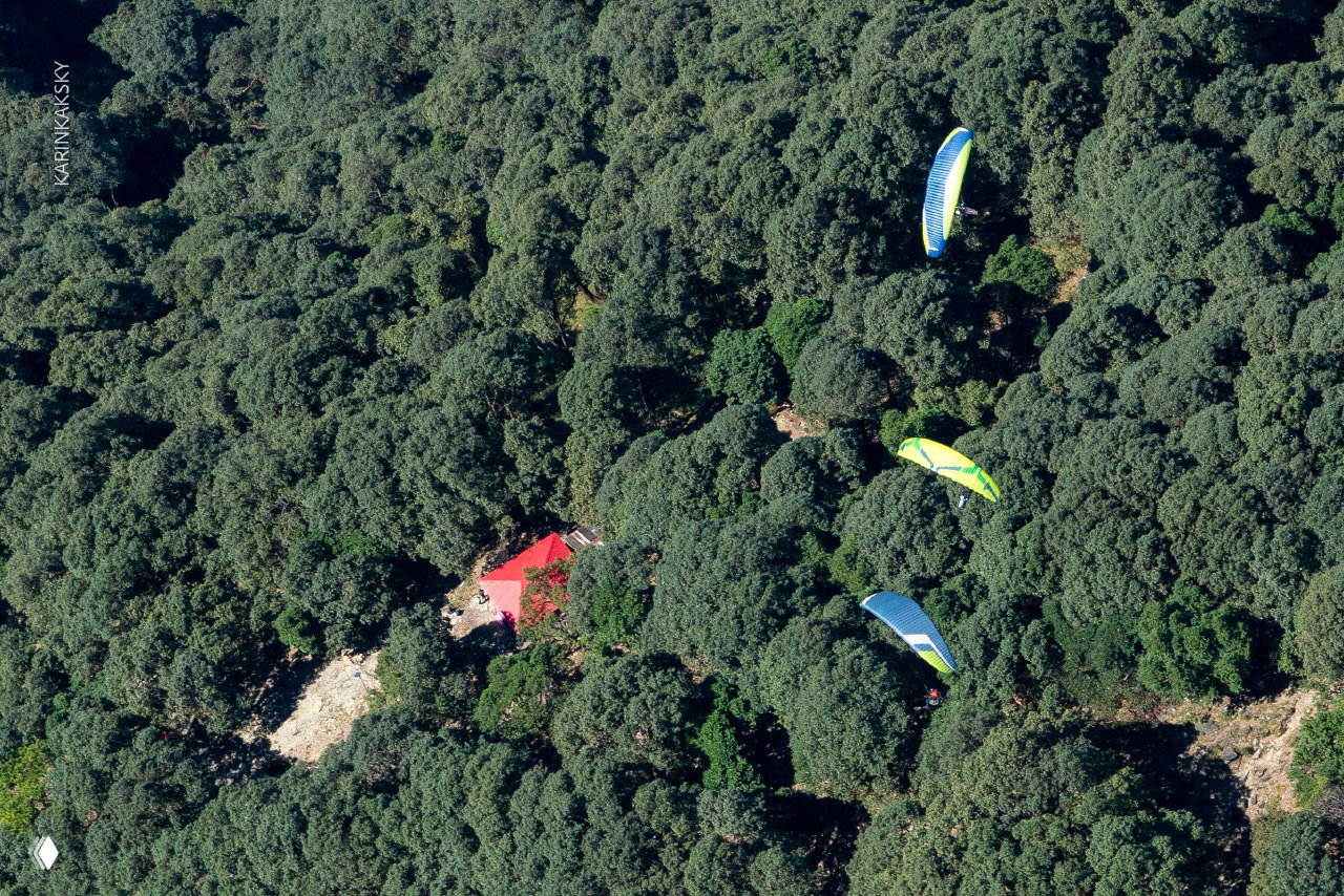Парапланы пролетают над густым лесом; в кадре видна зелёная крона деревьев и несколько крыльев, держась в низкой воздушной прослойке.