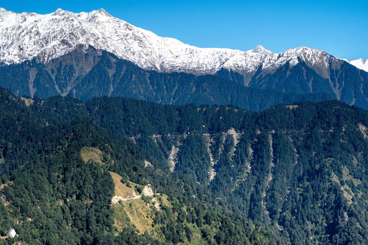 Широкий панорамный кадр: множественные парапланы рассыпаны над лесистыми склонами и дорогой, подчёркивая масштаб природы.